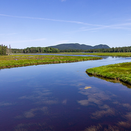 River running through landscape