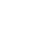houses icon