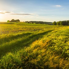 Automotive Fasteners Plant in Germany Reduces Energy Usage in Manufacturing